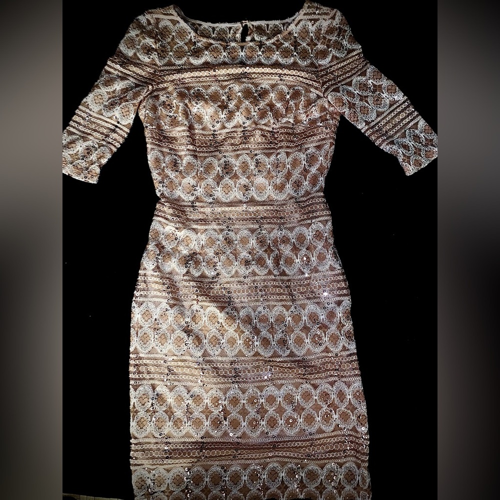 INTRICATE LACE & SEQUIN DETAILED DRESS  .